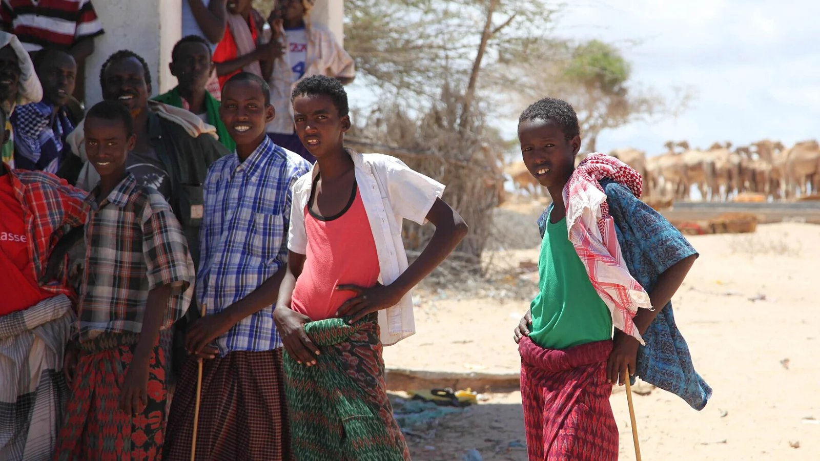 Um grupo de jovens em frente a camelos na cidade de Adale, na Somália.